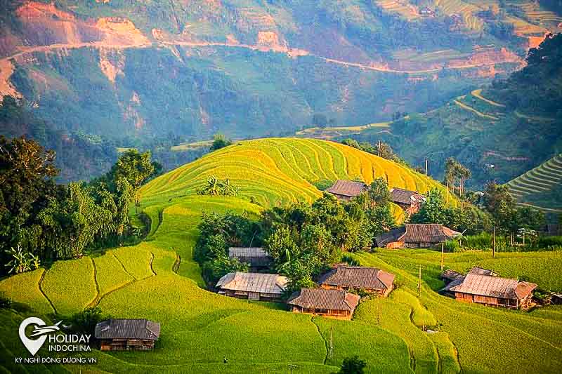 Về với Hoàng Su Phì Hà Giang mùa lúa chín