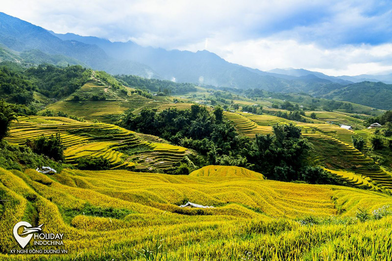 Du lịch Y Tý Sapa – Điểm săn mây không thể bỏ qua