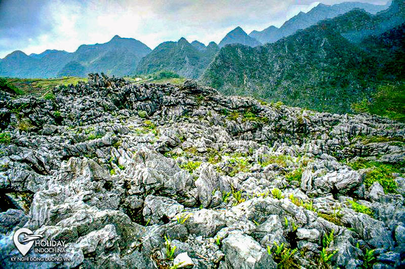 Cao nguyên đá Đồng Văn - Thắng cảnh Hà Giang nguyên sơ nhất