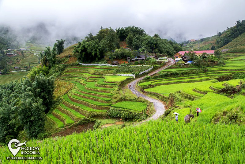 Trốn nắng hè nơi bản Tả Van Sapa