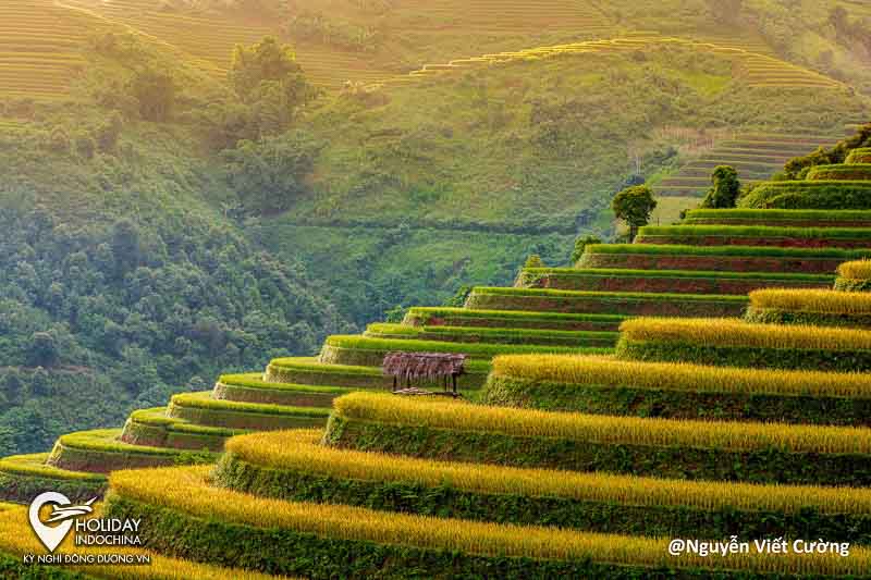 Mù Cang Chải - 'Đệ nhất ruộng bậc thang' đất Việt