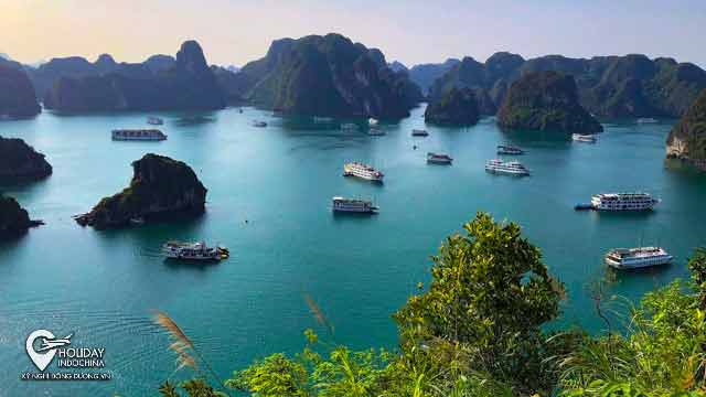 Tour Hạ Long Hà Nội HCM Giá Rẻ Du Lịch Vịnh 2024 Mới Lạ