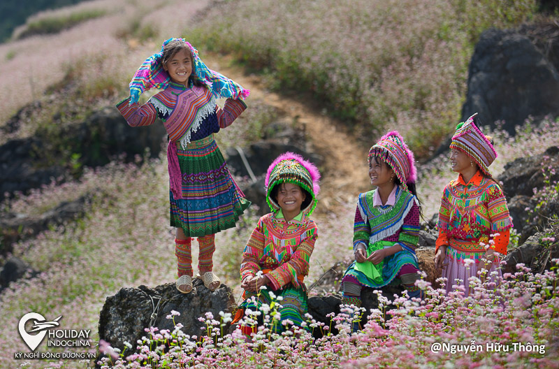 tour đi hà giang