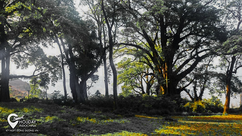 tour du lịch hà giang