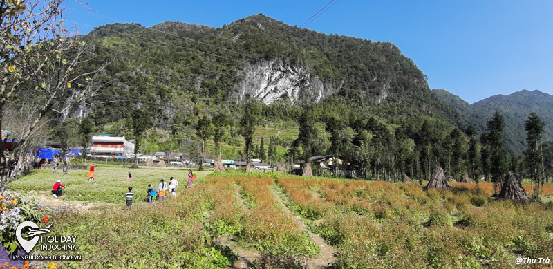 tour hà giang 3 ngày 2 đêm