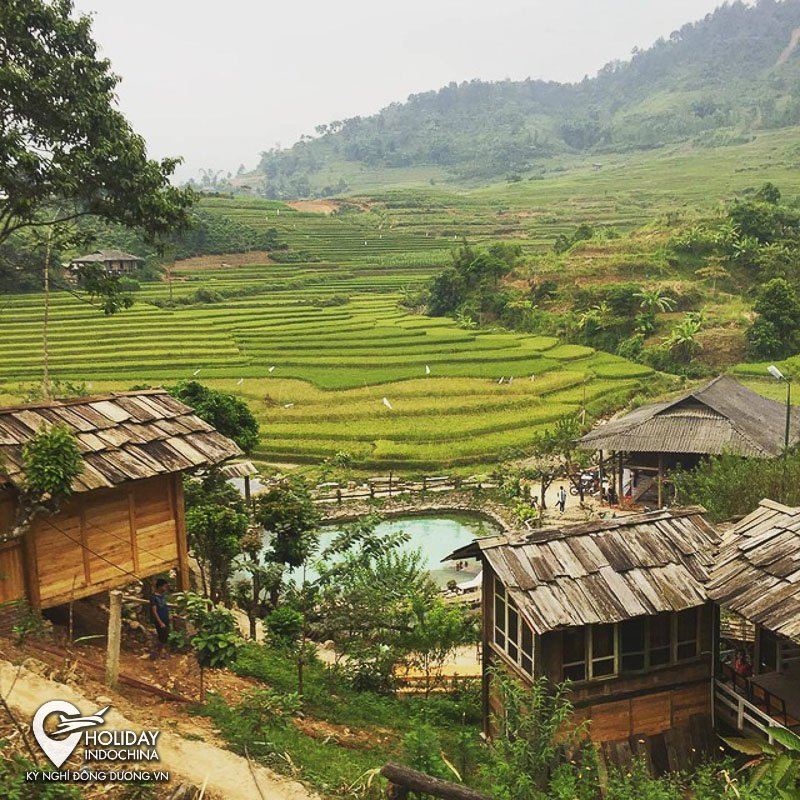 Yên Bái: Yên Bái được biết đến với khung cảnh thiên nhiên đẹp tuyệt vời của vùng núi phía Bắc Việt Nam. Hãy khám phá những rạn đá độc đáo, những thác nước tuyệt đẹp và những đồi chè xanh ngắt khi đến Yên Bái.